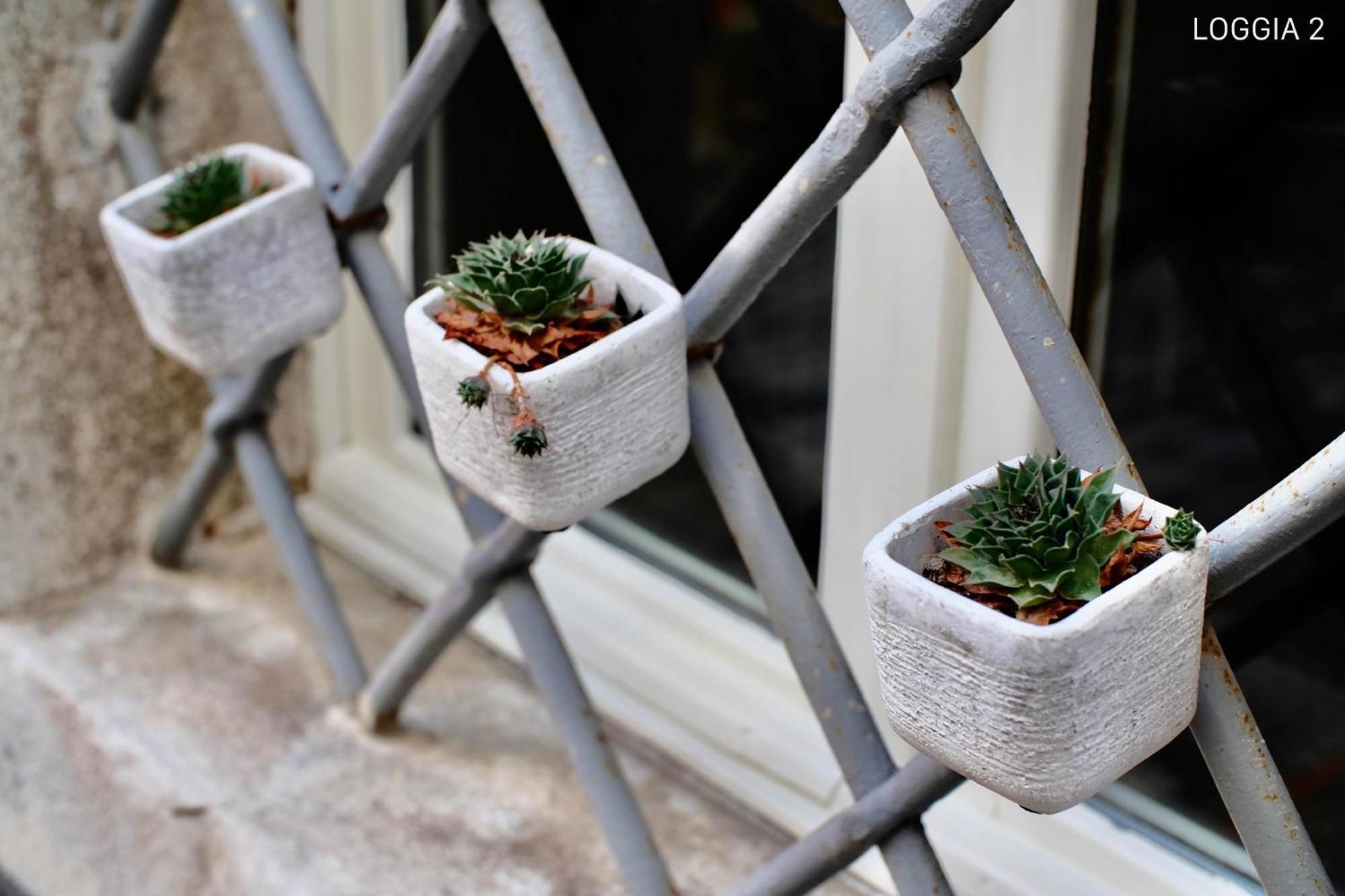 Loggia Motovun Apartment Luaran gambar